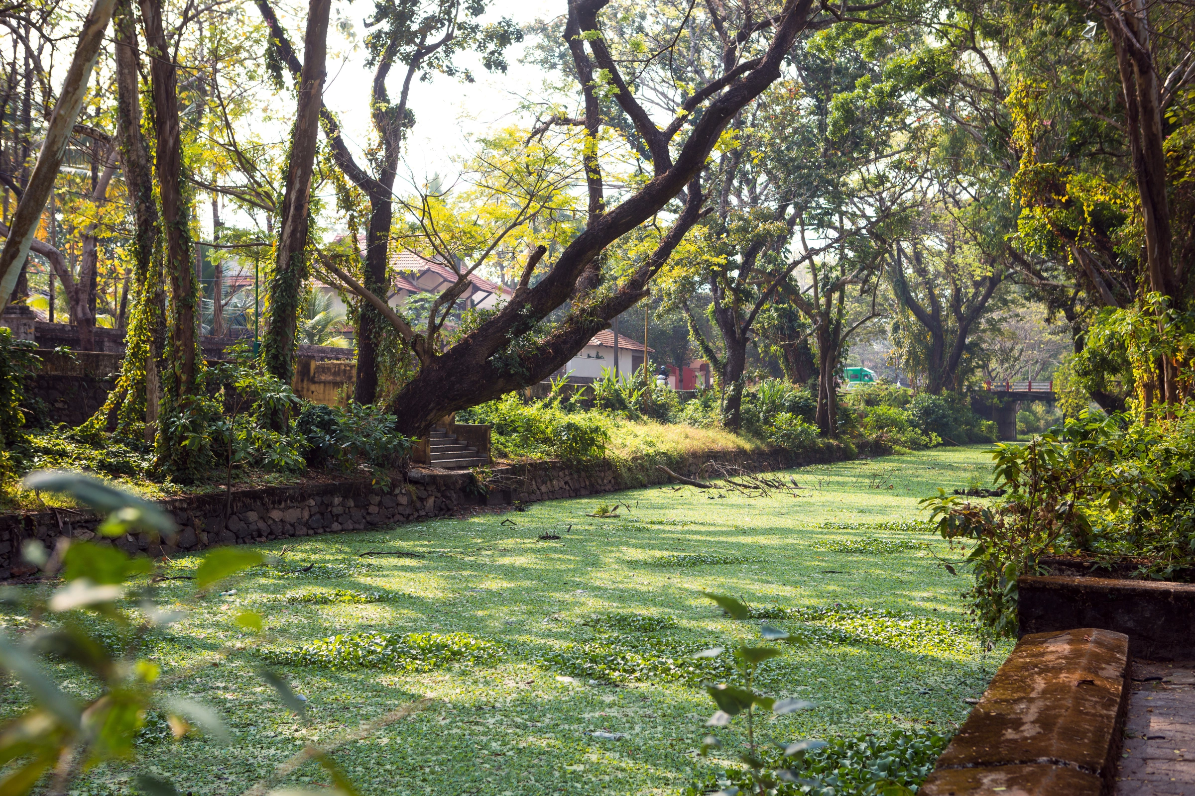 Allapuzha[1].webp
